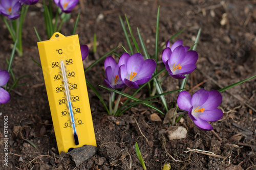 Spring Temperatures