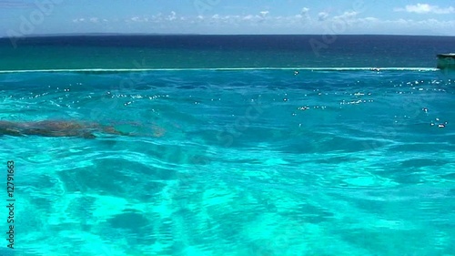 Brasses dans la piscine (avec son d'ambiance).