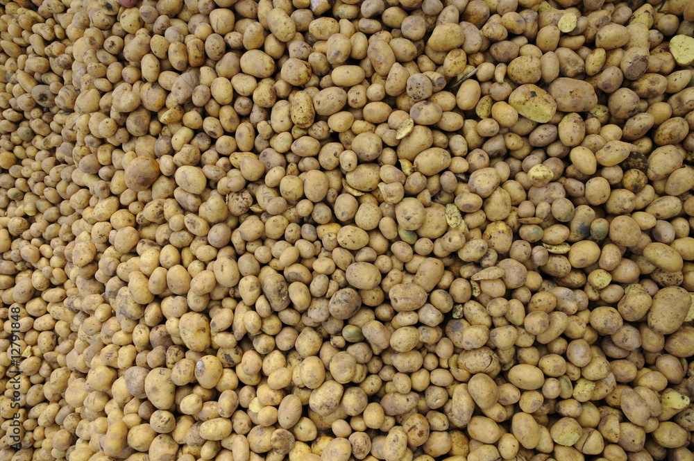 Futterkartoffeln Futterkartoffeln