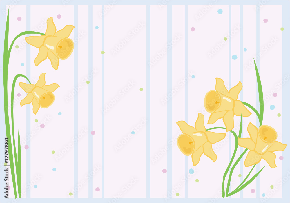 Obraz premium daffodil background