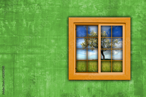 window with spring landscape view