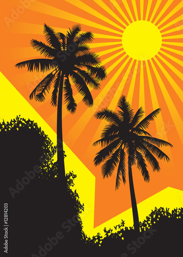 Sunlit palm trees with buildings under the tropical sun