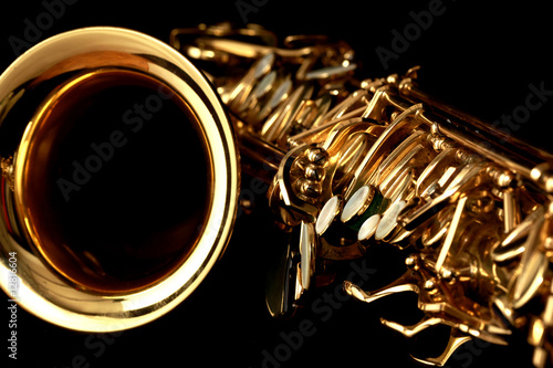 Bild auf Leinwand sax