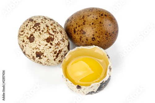 Fresh quail eggs