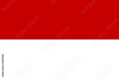 Indonesia national flag. Illustration on white background
