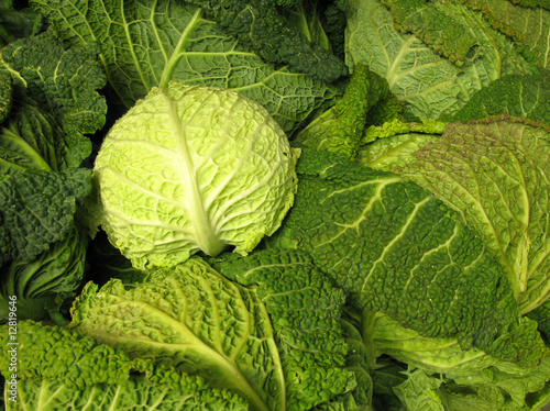 Savoy cabbage