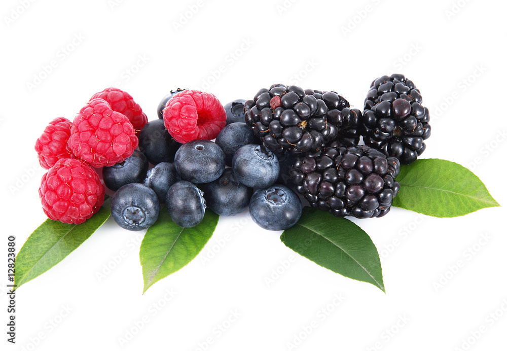 frutti di bosco frutti di bosco