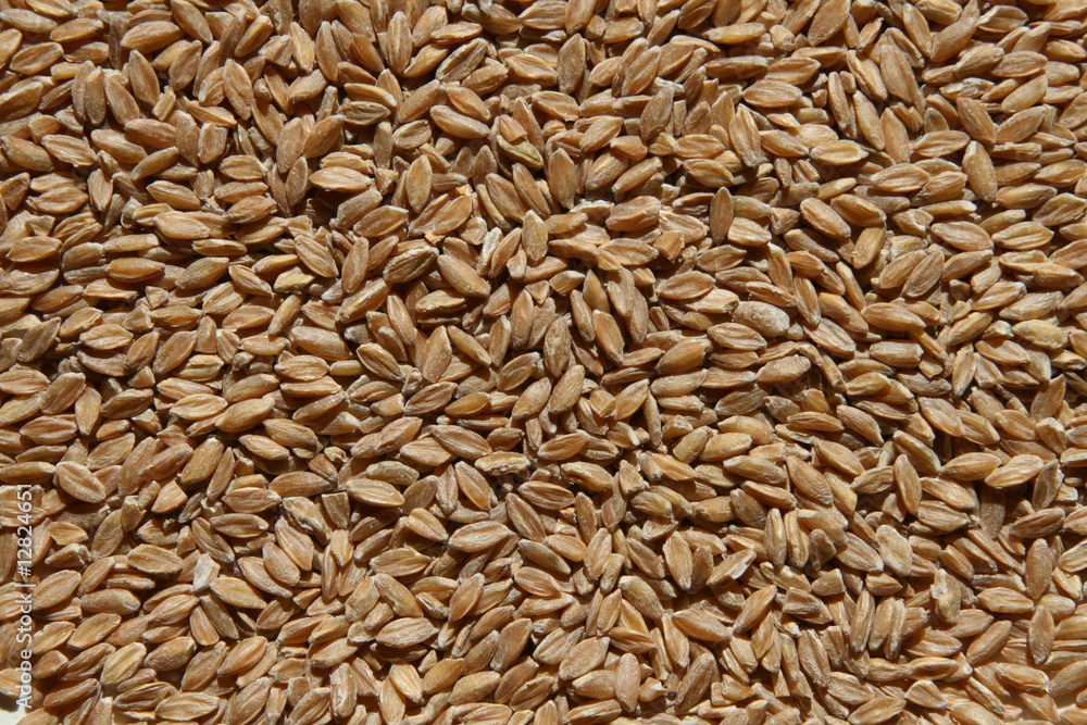 Einkorn Einkorn