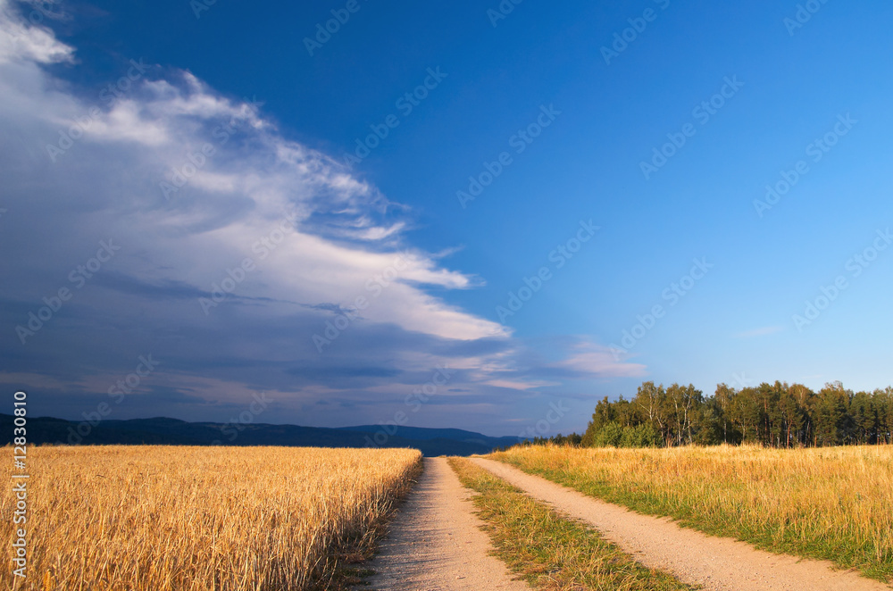 Landscape before storms with rural road about cereal field Landscape before storms with rural road about cereal field