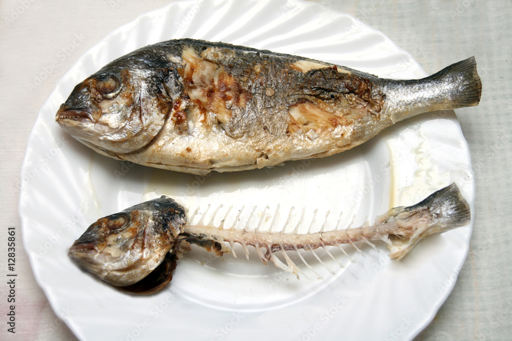 fish plate fish plate