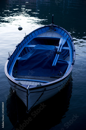 Barca a remi azzurra