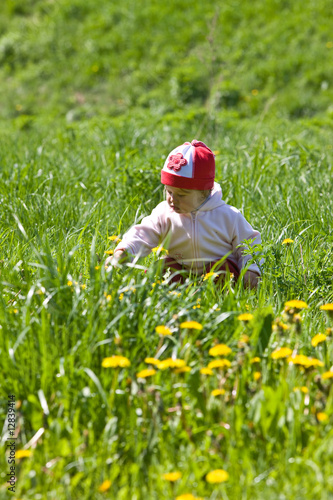 child on the green meadow