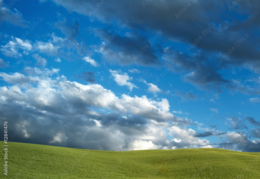 Dramatische Wolken, Unwetter über grüner Landschaft, Weizen Dramatische Wolken, Unwetter über grüner Landschaft, Weizen