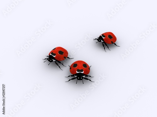 Three little lady bugs © jaddingt