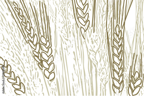 wheat background