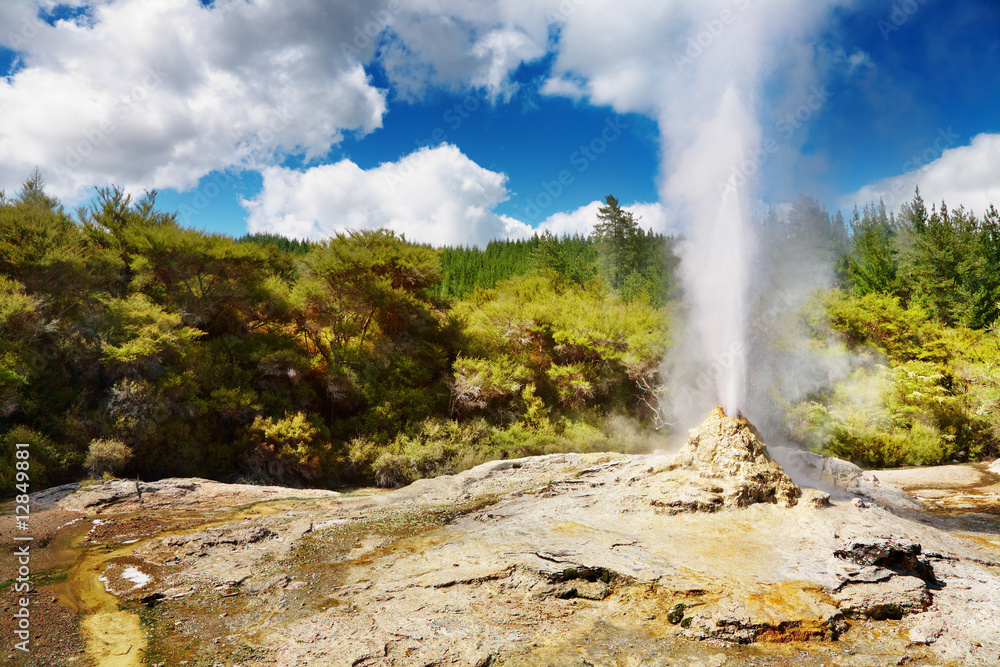 Lady Knox Geyser, New Zealand