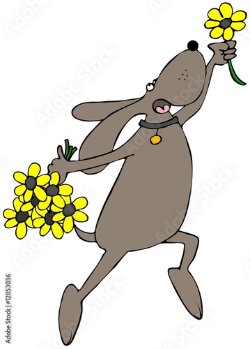 Flower Dog
