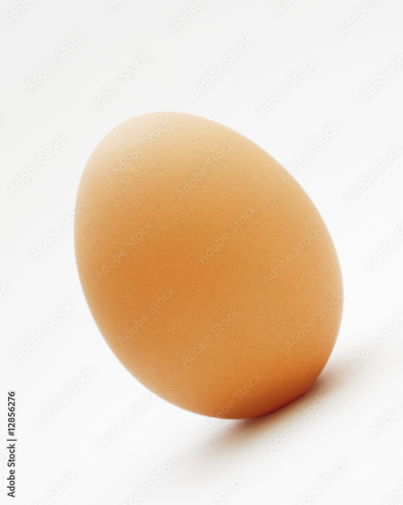 An egg