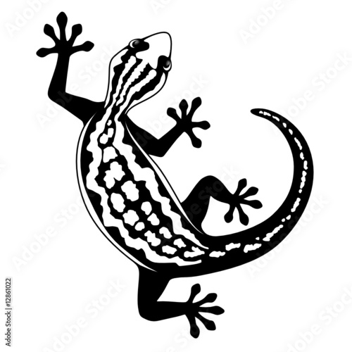 Lézard vectoriel noir et blanc