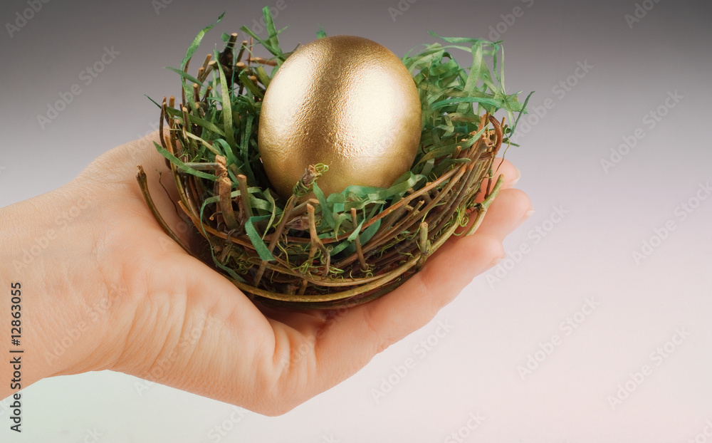 Hand holding nest with golden egg Hand holding nest with golden egg