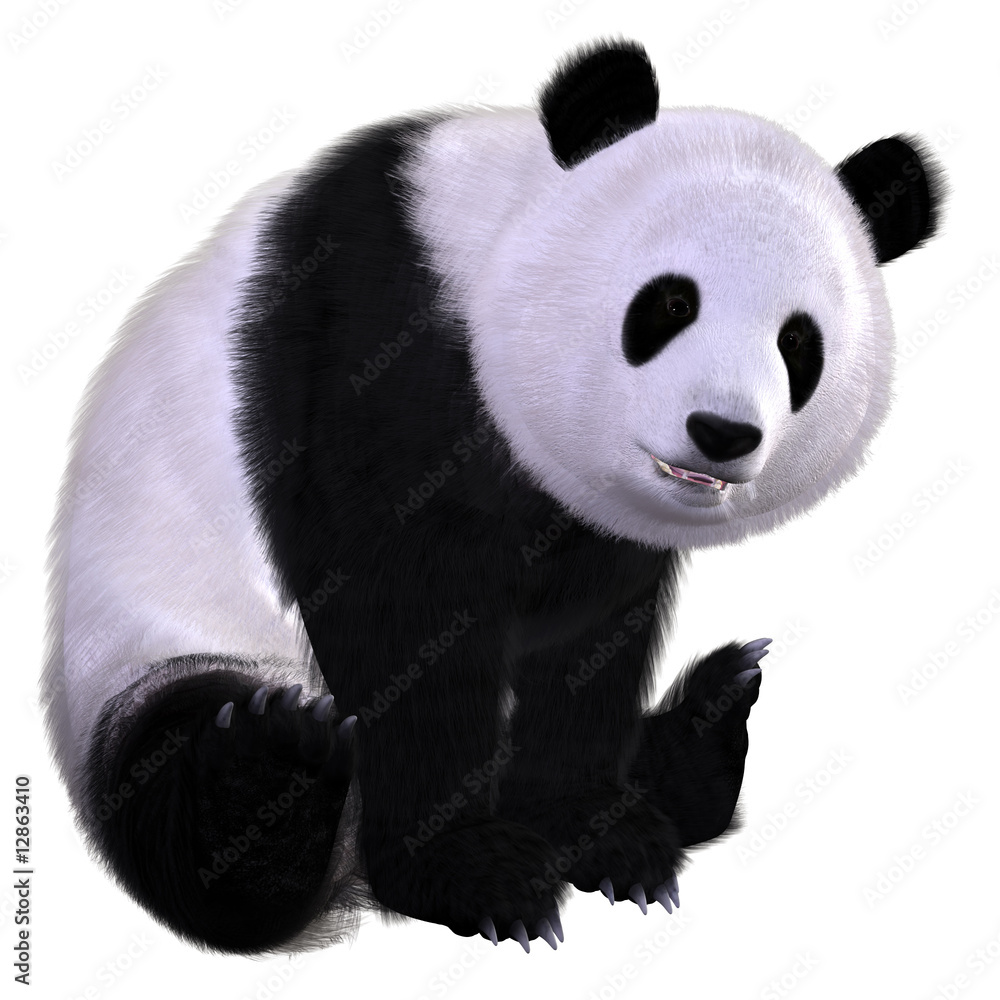 Pandabär Pandabär
