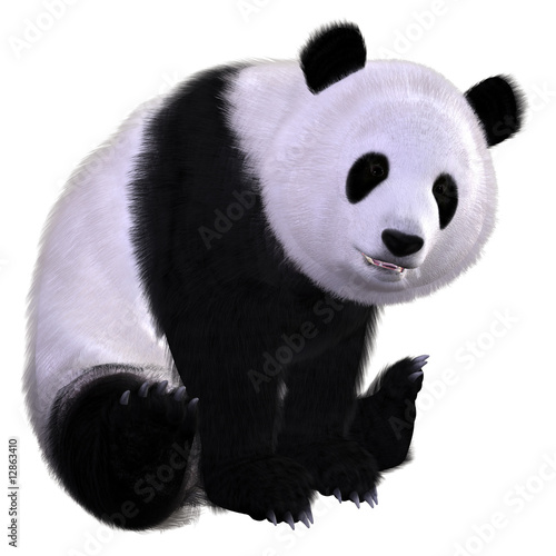 Fototapeta Naklejka Na Ścianę i Meble -  Pandabär