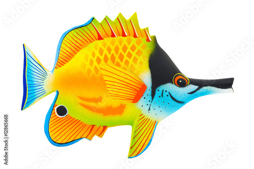 Photography Toy exotic fish