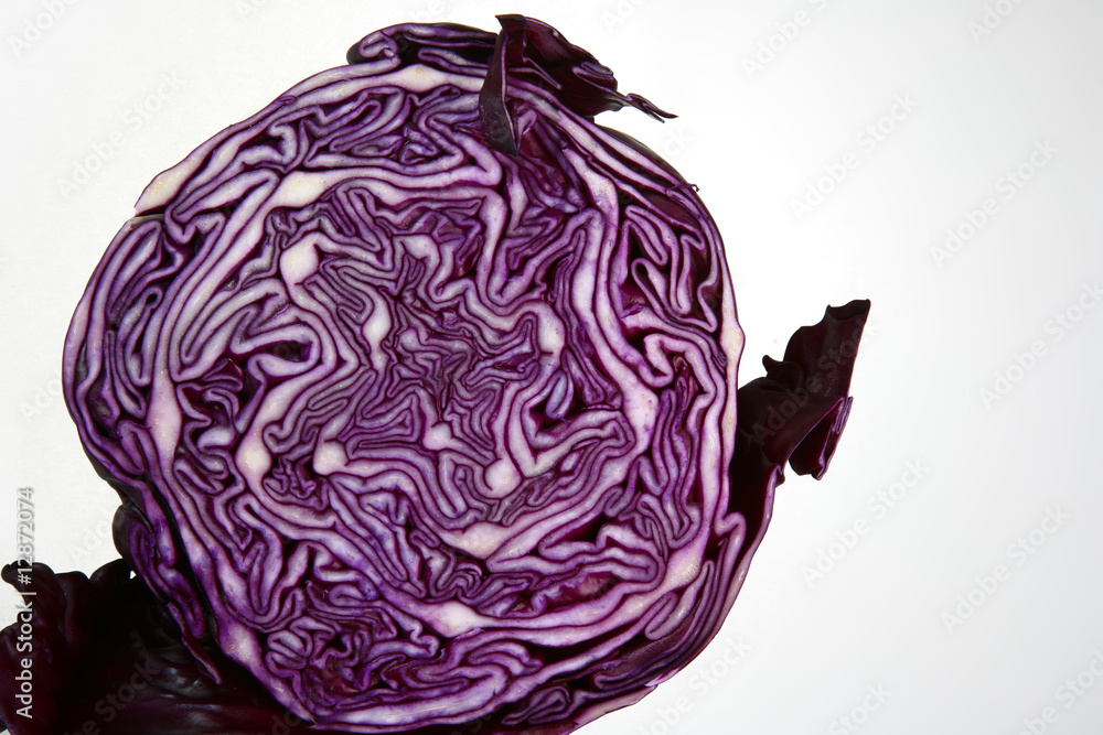 Red cabbage Red cabbage