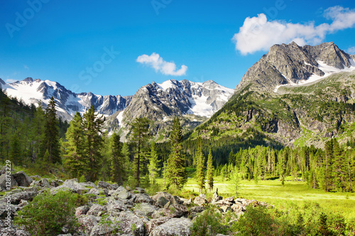 Obraz na plátně Mountain landscape