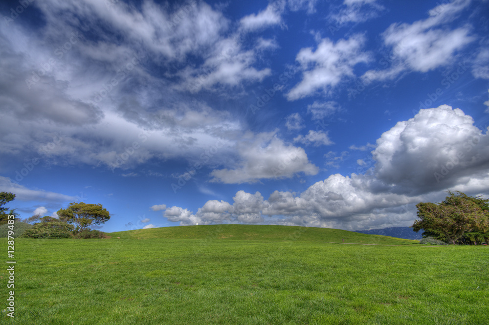 Green Grass Landscape and blue cloudy sky HDR