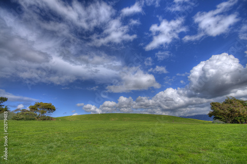 Green Grass Landscape and blue cloudy sky HDR