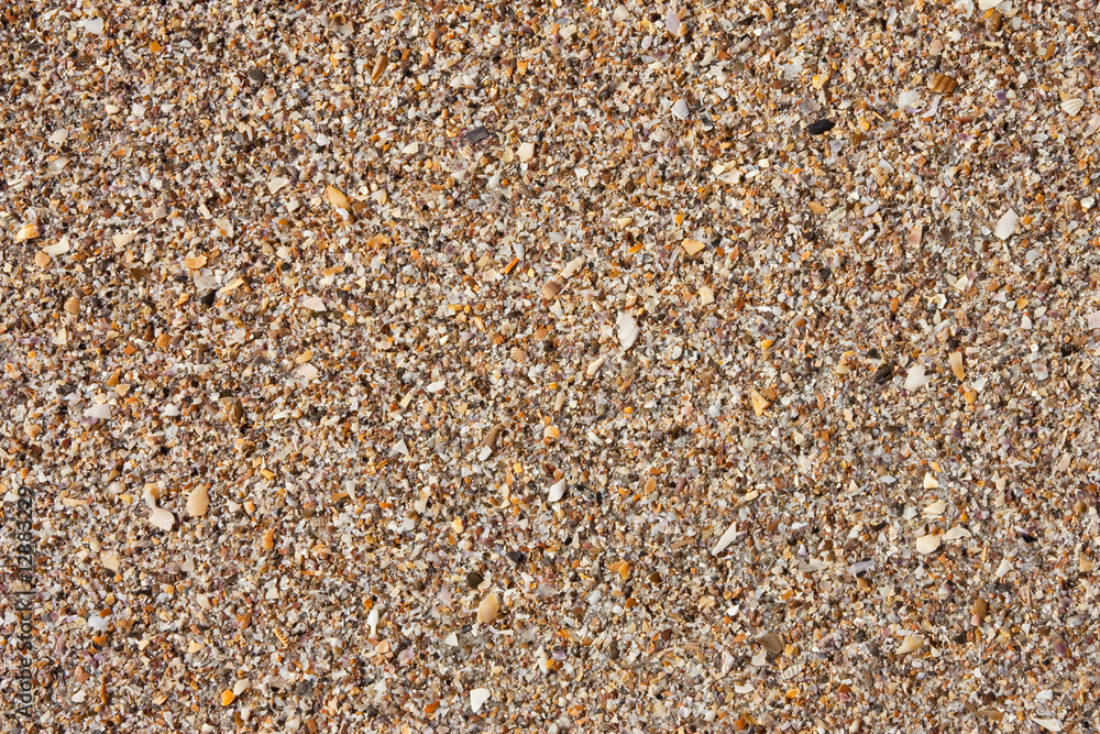 Natural broken sea shells on beach Natural broken sea shells on beach