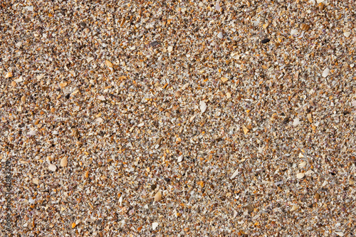 Natural broken sea shells on beach