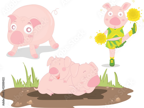 pigs