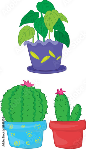 plants