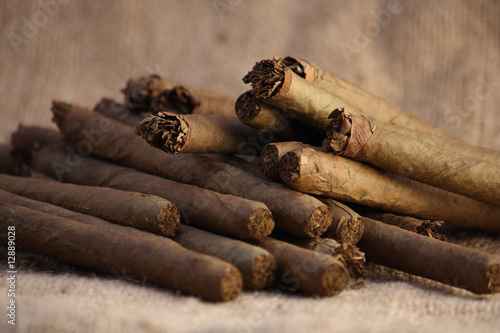 Wallpaper Mural Pick one Torontodigital.ca