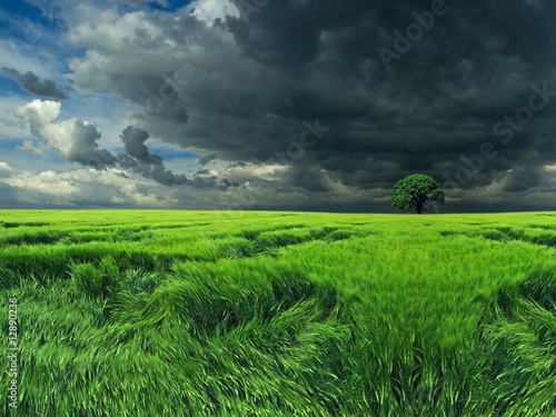 Photography Dark clouds over the field