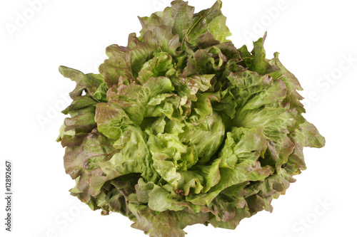 Papier peint salade batavia