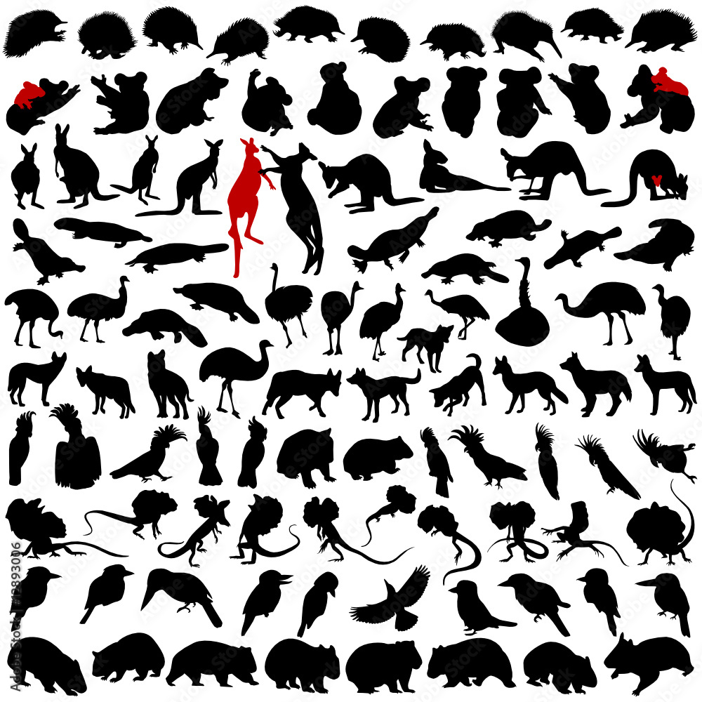 Hundred silhouettes of wild rare animals from Australia Stock Vector |  Adobe Stock