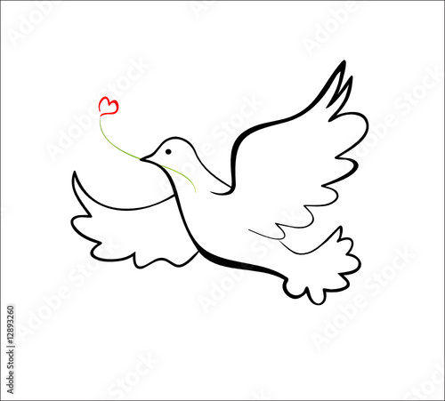 Dove