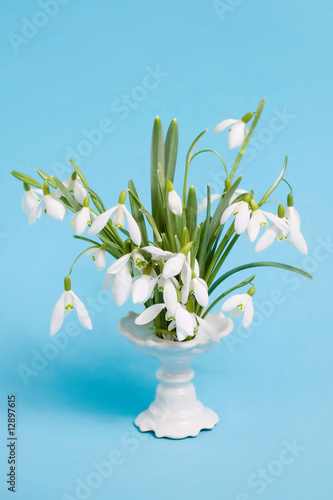 Snowdrops in a vase