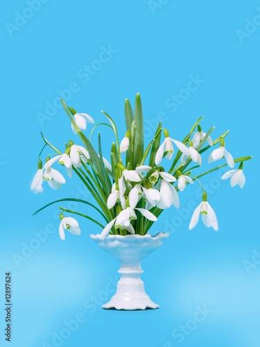 Snowdrops in a vase