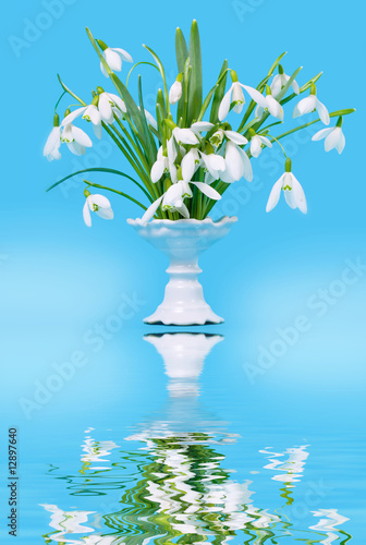 Snowdrops in a vase