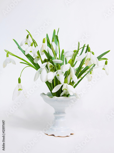 Snowdrops in a vase