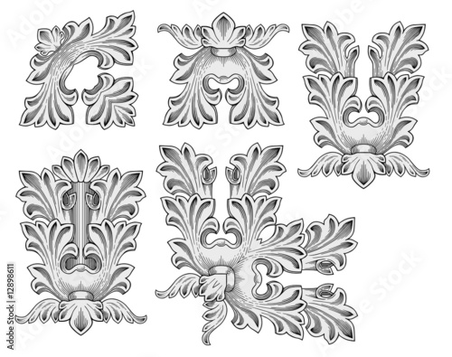 Floral design elements vector