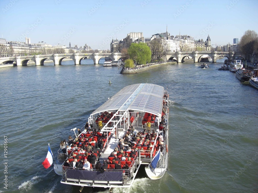 Naklejka premium Paris Pont Neuf et la Seine