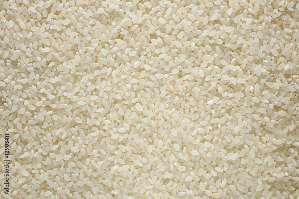 Sushi Rice Sushi Rice