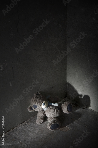 Lost teddy bear