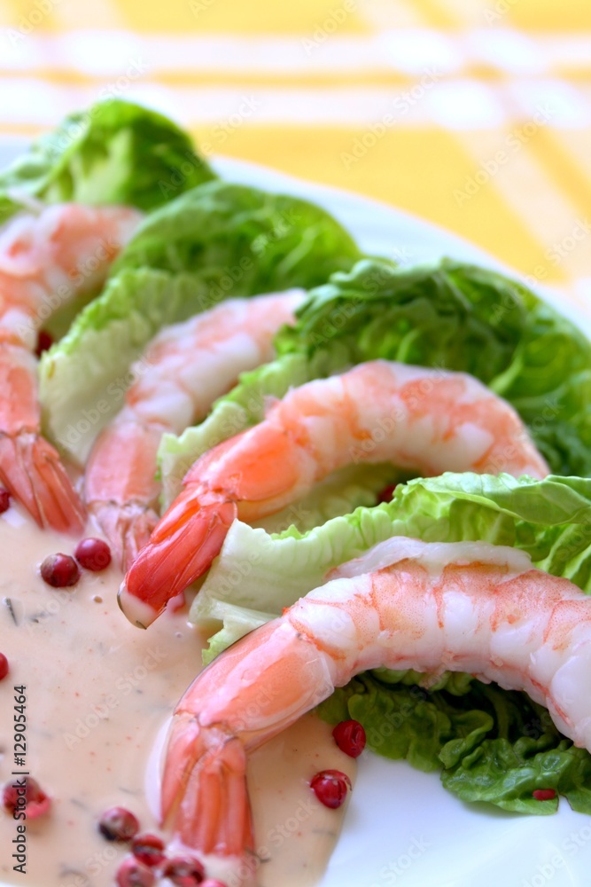 Frische Garnelen mit Salat und Dressing Frische Garnelen mit Salat und Dressing