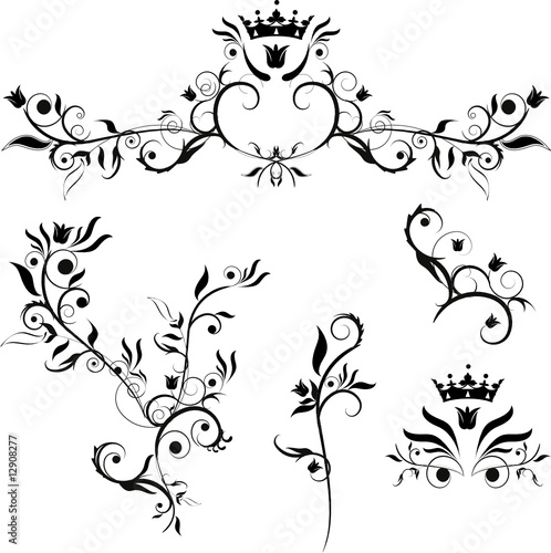 decorative plants